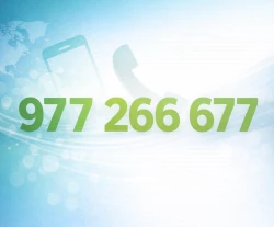 Teléfono del contacto de Zapzer Trade SL