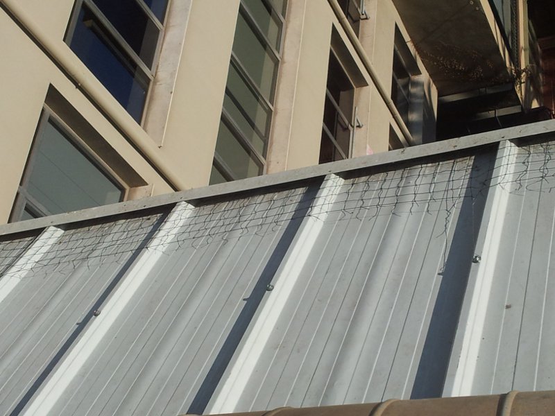 Instalación de un sistema anti aves en Barcelona. Detalle cubierta